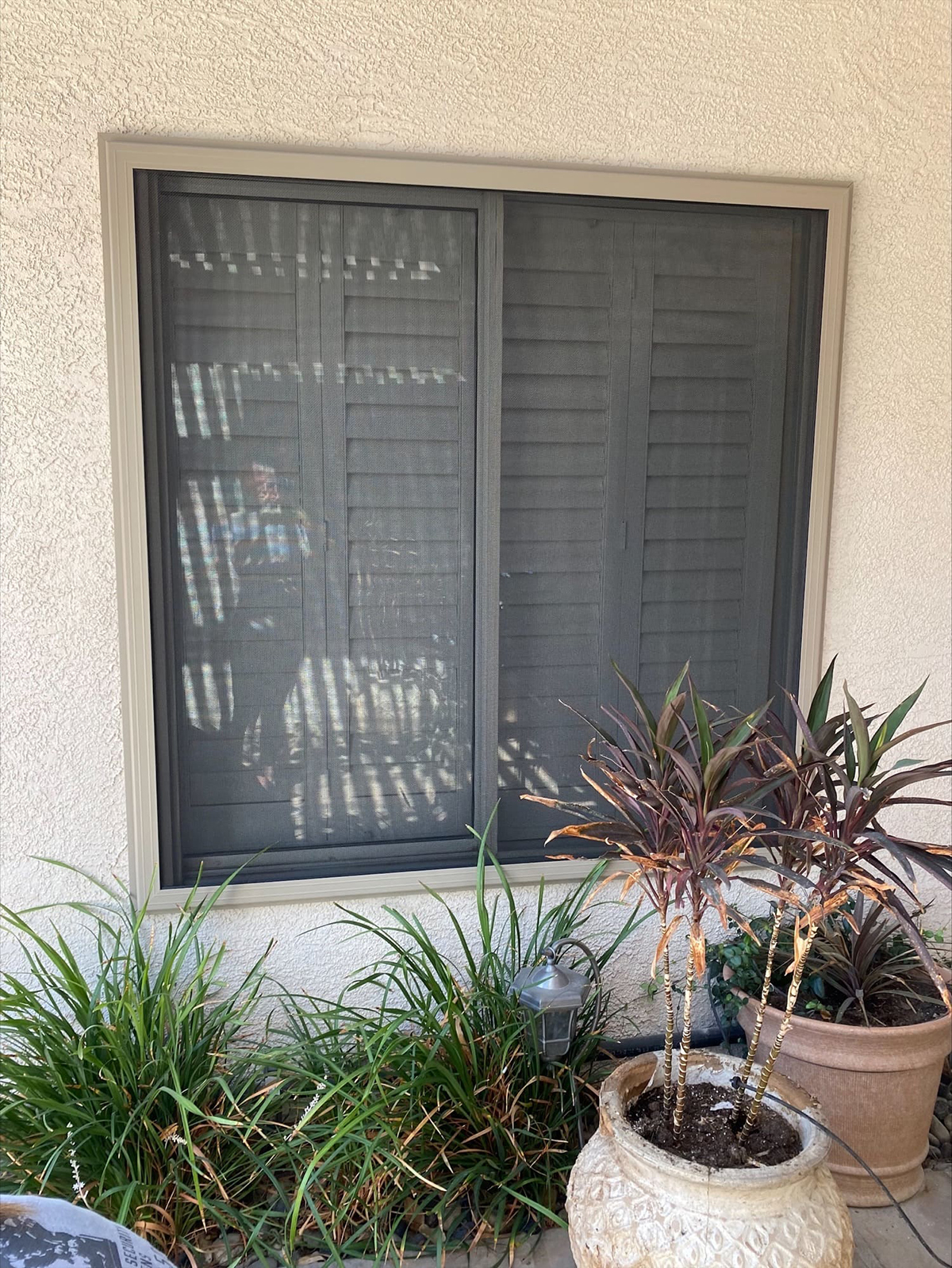 Tan Window