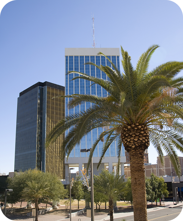slant view of a las vegas city with palm trees having guardian security screens security solutions