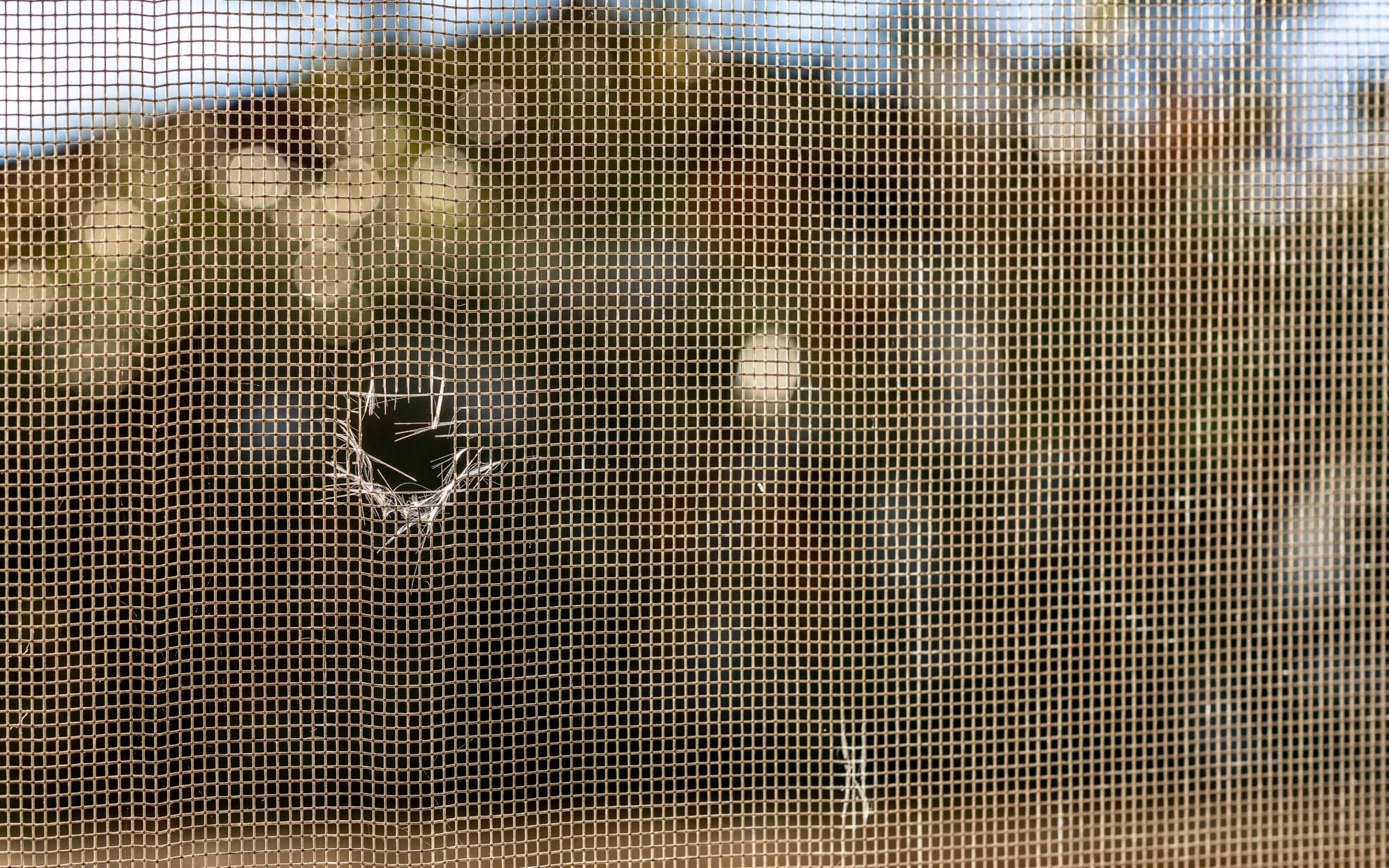 A close-up of a window screen with a frayed hole in the center, showing a blurred background through the mesh.